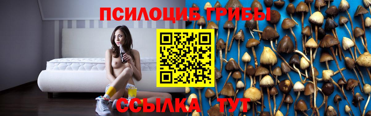 Псилоцибиновые грибы GOLDEN TEACHER  Вход с VPN  Галлюциногенные грибы MAGIC MUSHROOMS  Кувандык 